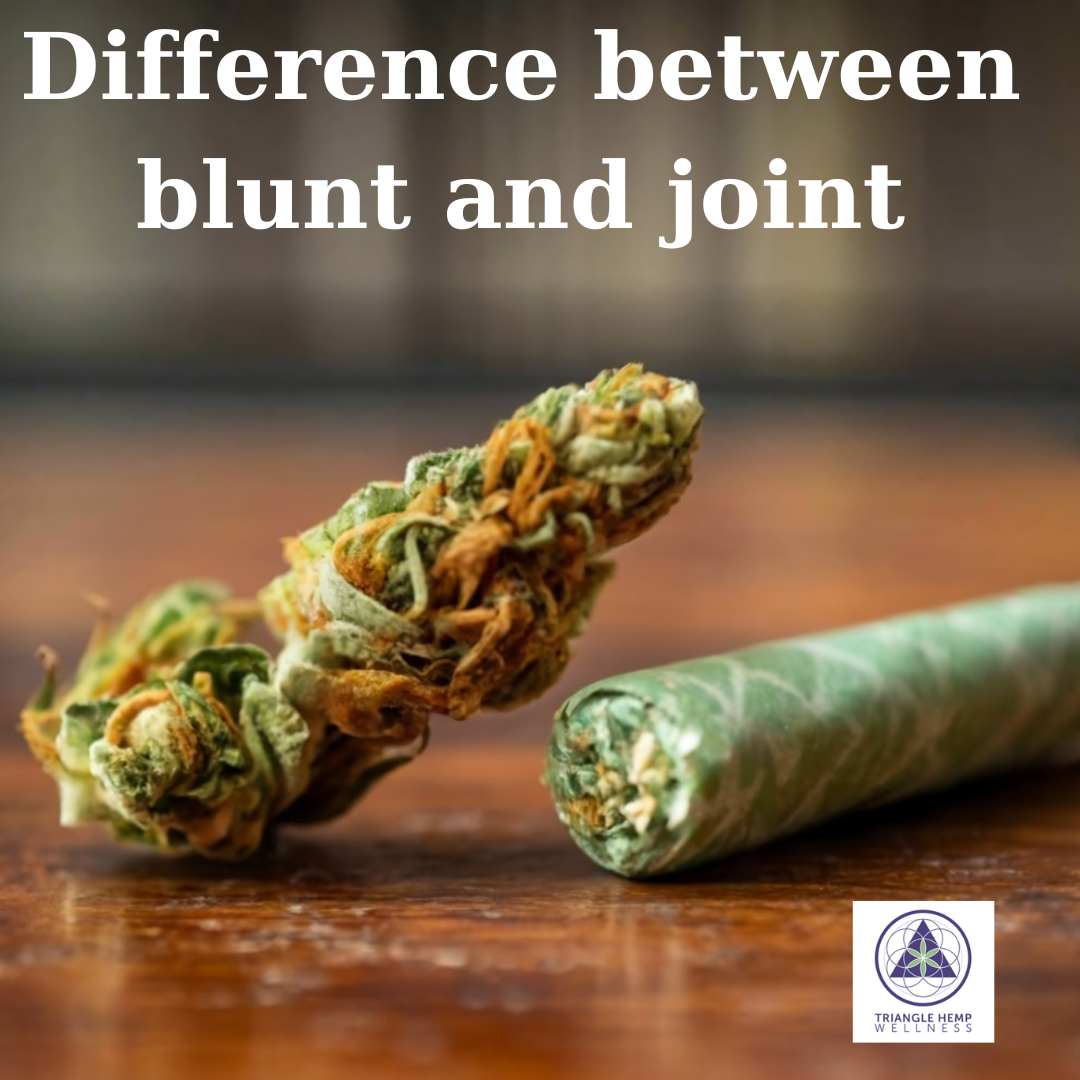 Blunt vs Joint vs Pre-Roll: Every Difference Explained — Taste, Health, Cost, Smell & Which Is Best for You [2026]