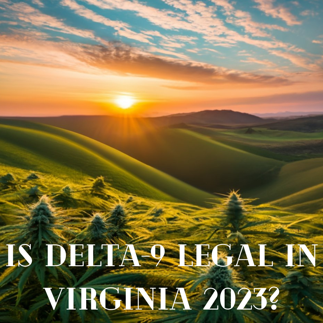 Is Delta-9 Legal in Virginia 2023?
