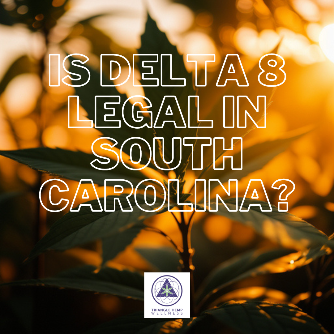 Is Delta 8 Legal in South Carolina?