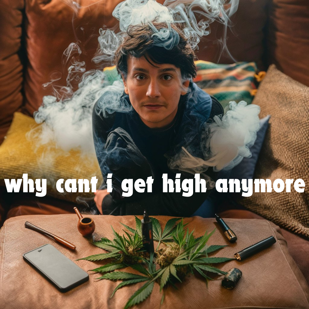 Can't Get High Anymore? 7 Reasons Weed Stopped Working & How to Reset Your Tolerance [2026]