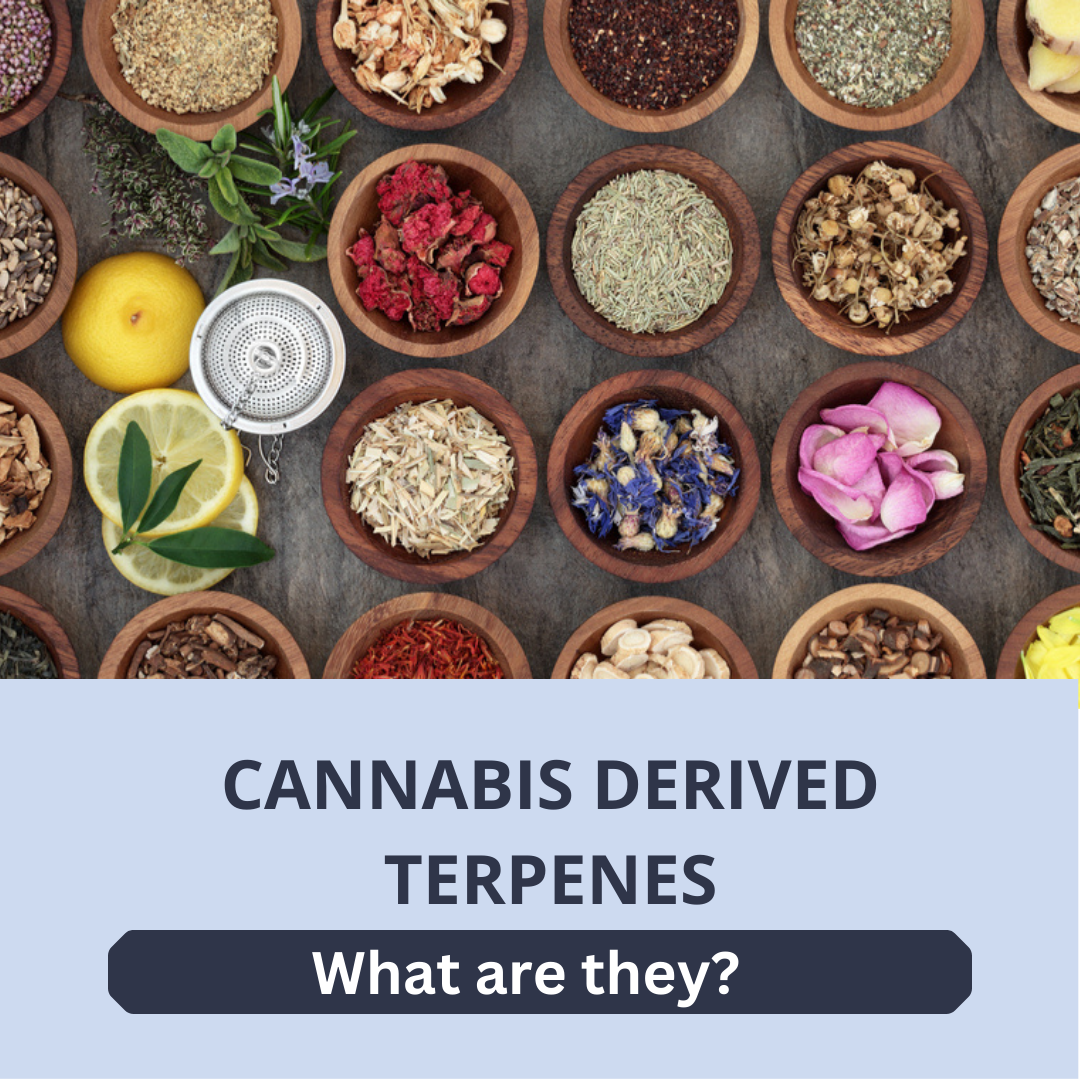 Cannabis Derived Terpenes: What are they?