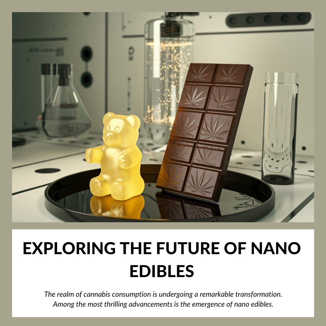 Exploring the Future of Nano Edibles