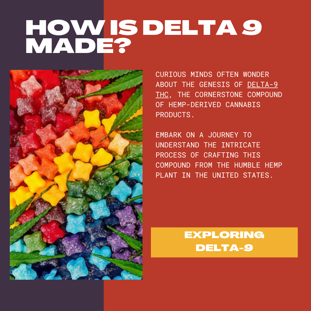 How is delta 9 made? Demystifying Delta-9