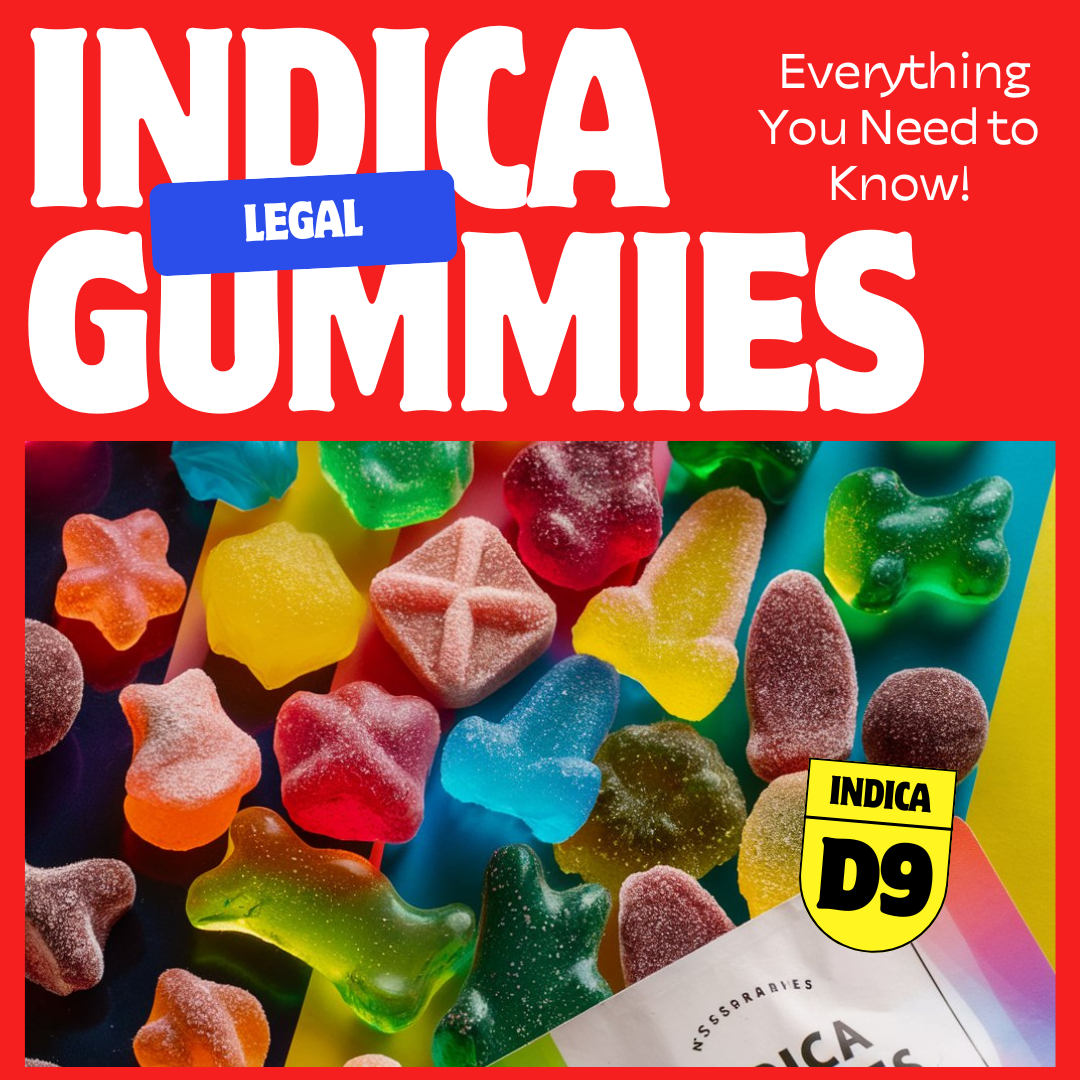 Indica Gummies: Everything You Need to Know