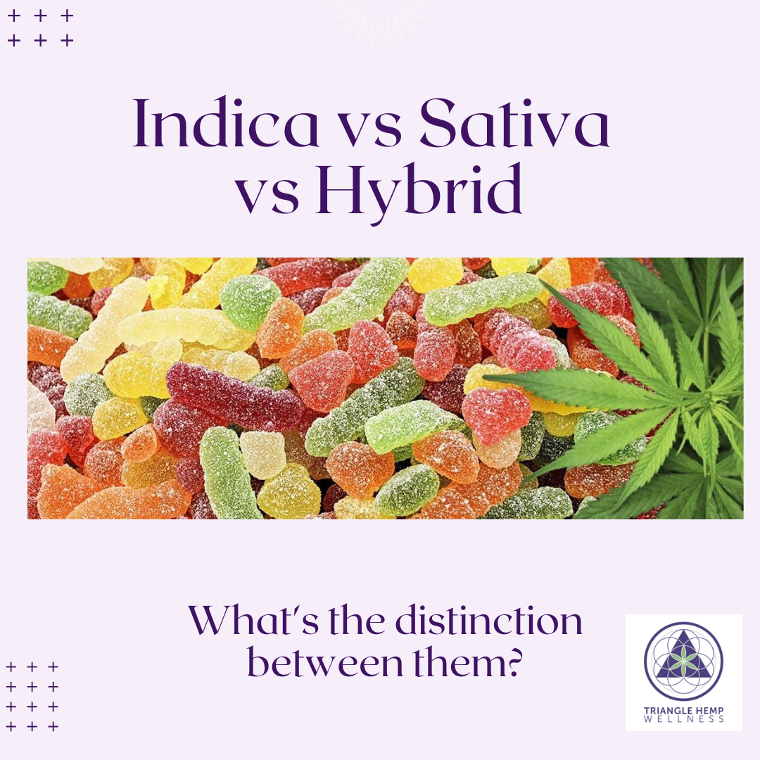 Indica vs Sativa vs Hybrid: Effects, Terpenes, Which Is Right for You & How to Choose Your Strain in Gummies, Vapes & Edibles [2026]