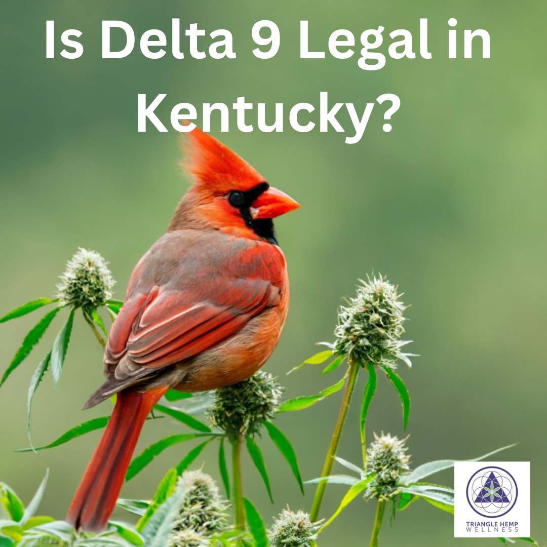 Is Delta 9 Legal in Kentucky? Everything You Need to Know