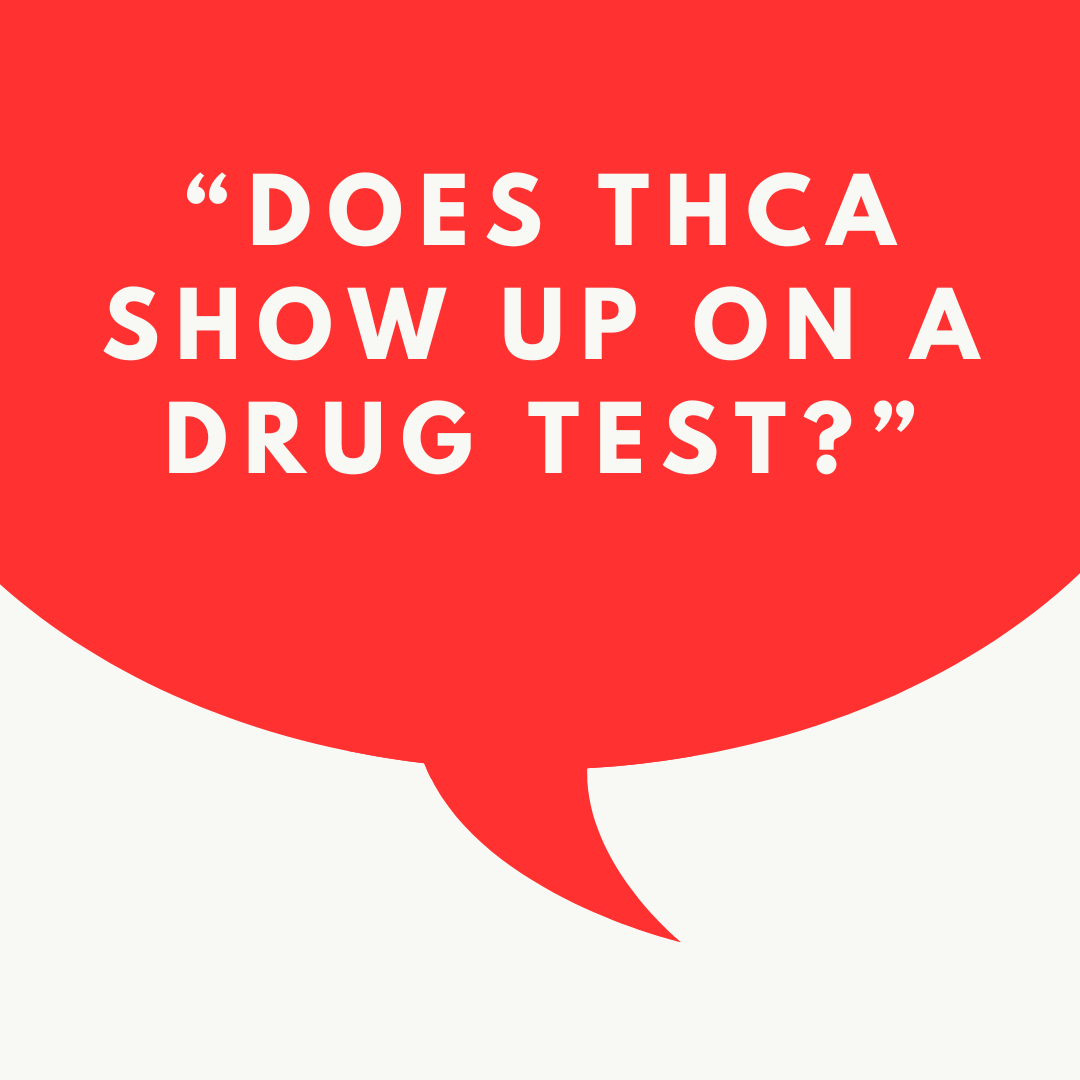 Does THCa Show Up on a Drug Test?