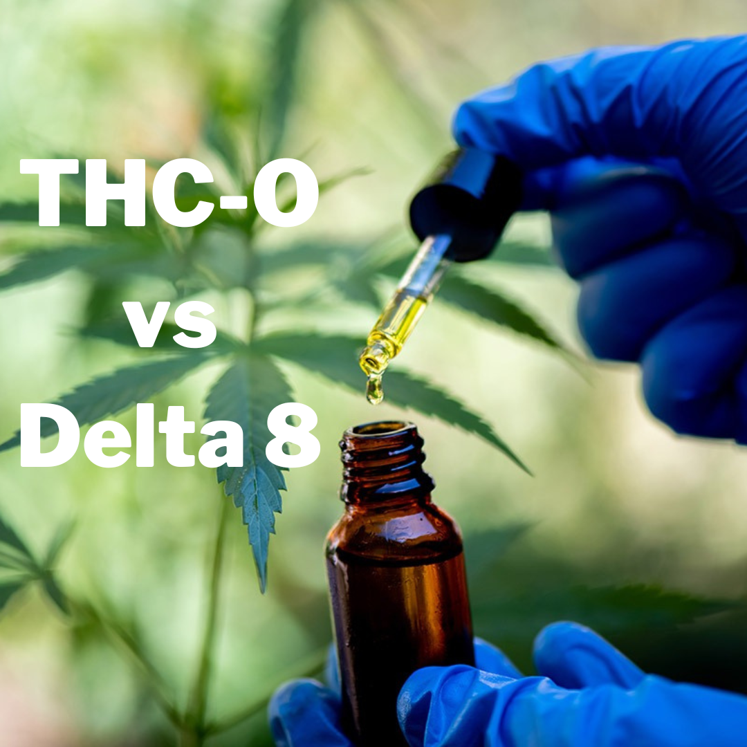 A comparison of THC O vs Delta 8