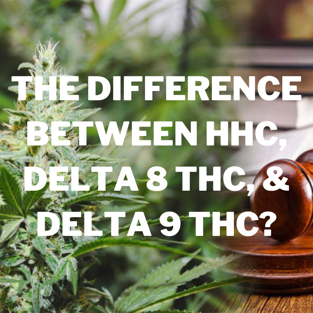 THE DIFFERENCE BETWEEN HHC, DELTA 8 THC, & DELTA 9 THC?
