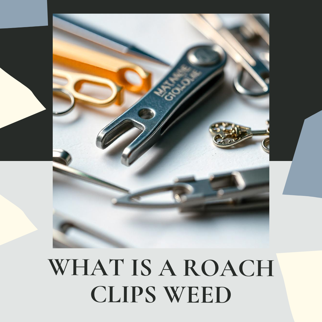what is a roach clips weed