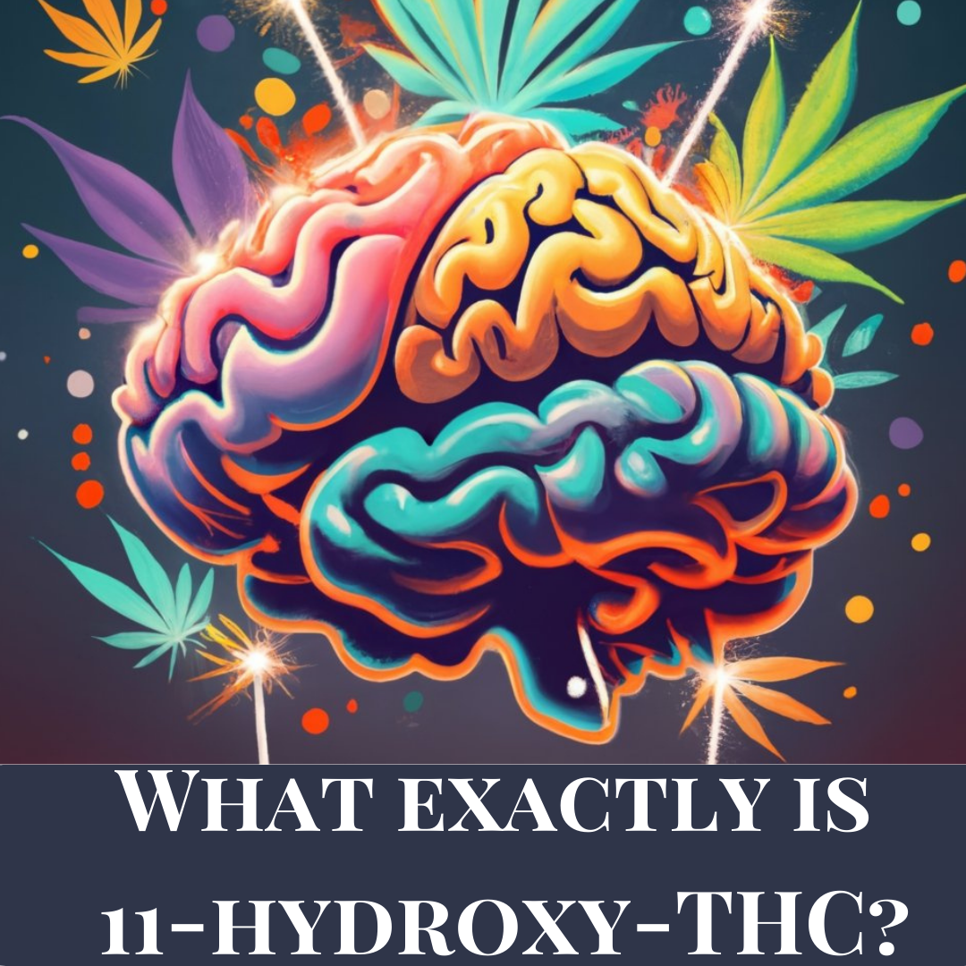 What Is 11-Hydroxy-THC (11-OH-THC)? Why Edibles Hit Harder, What HXY-11 Products Are & How to Dose Safely [2026]