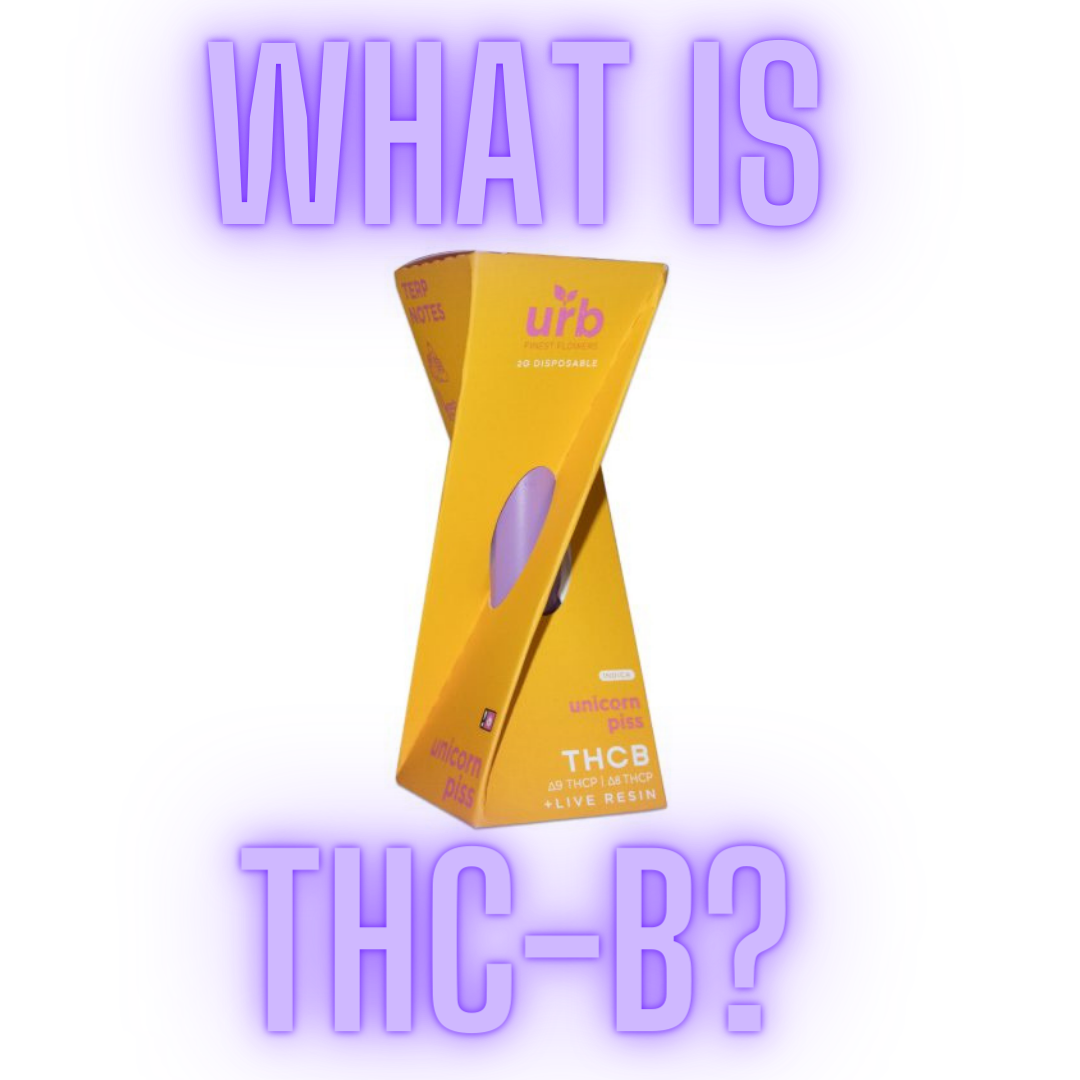 What Is THC-B (THCB)? Effects, How It Compares to Delta-9 & THCP, Safety & What Research Actually Shows [2026]