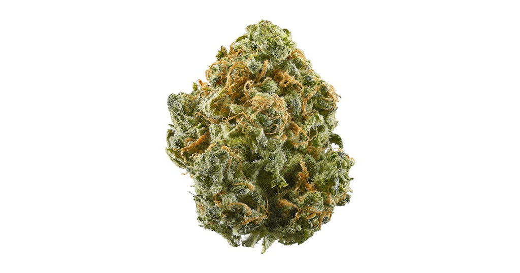 Alaskan Thunder Fuck (Sativa) – THCA 32.26%